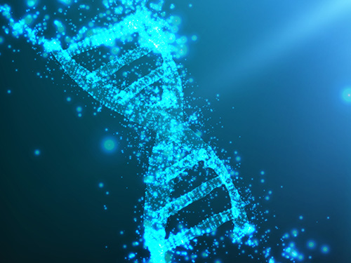 RNA-seq 和甲基化測序整合分析