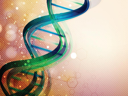 蛋白質(zhì)免疫印跡（Western Blot)