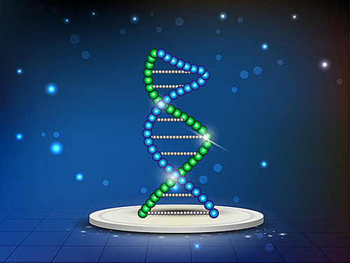 RACE技術(shù)服務(wù)