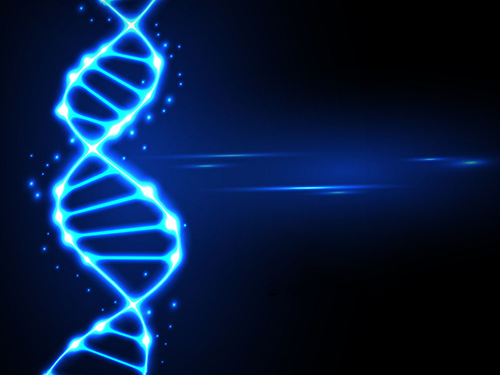 石蠟microRNA熒光定量PCR檢測