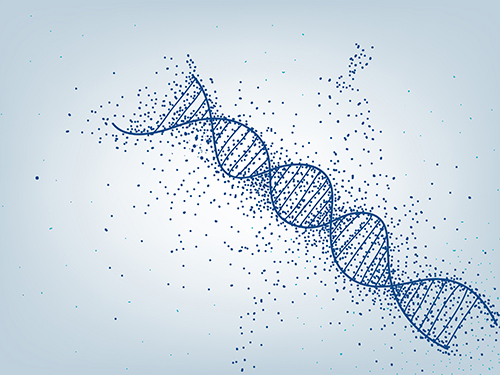 微生物基因組Denovo測序分析