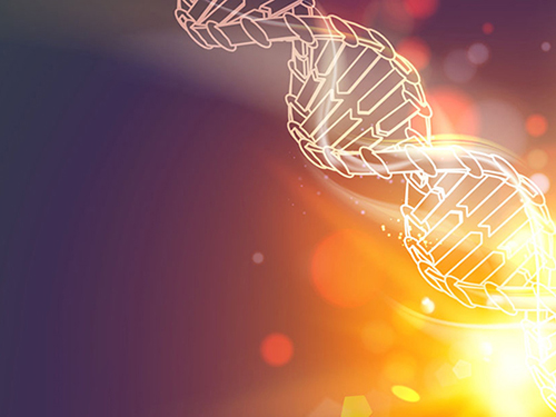 Incrna熒光定量PCR檢測