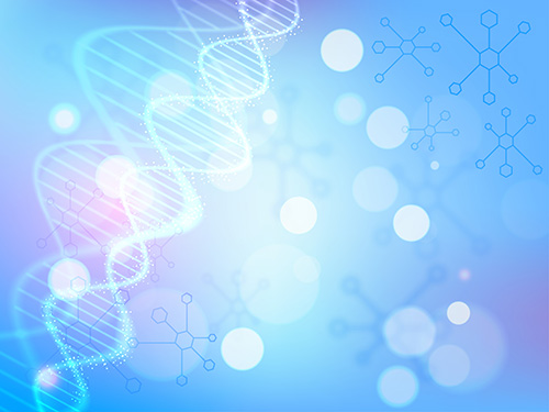 單核苷酸多態(tài)性分析（SNPs）
