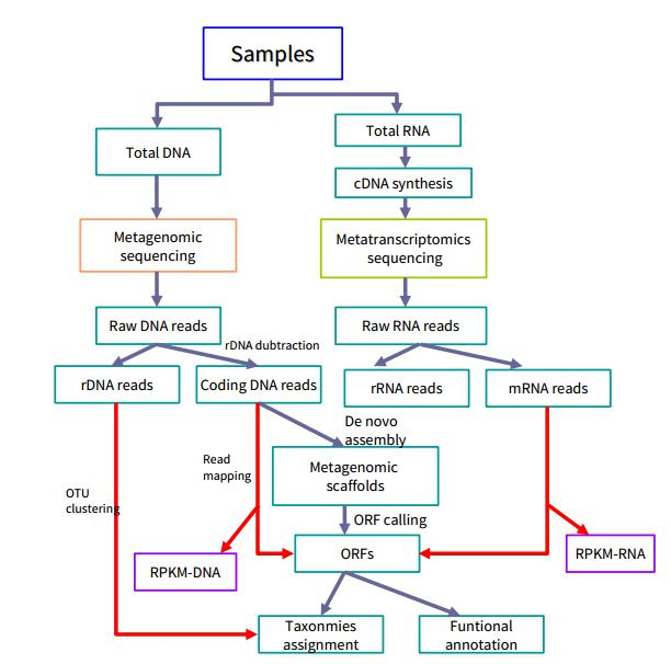 1632383557131311.png image.png