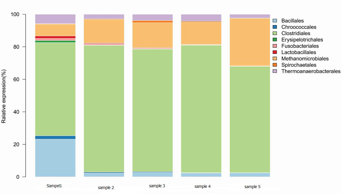 1632383566445163.png image.png