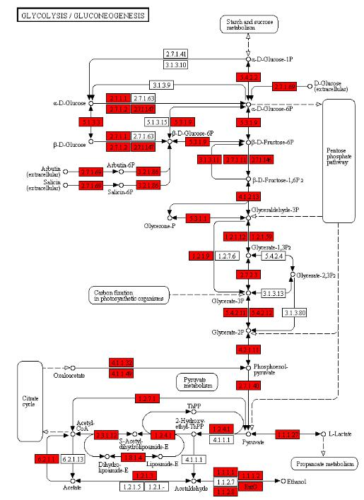 1632383612136191.png image.png