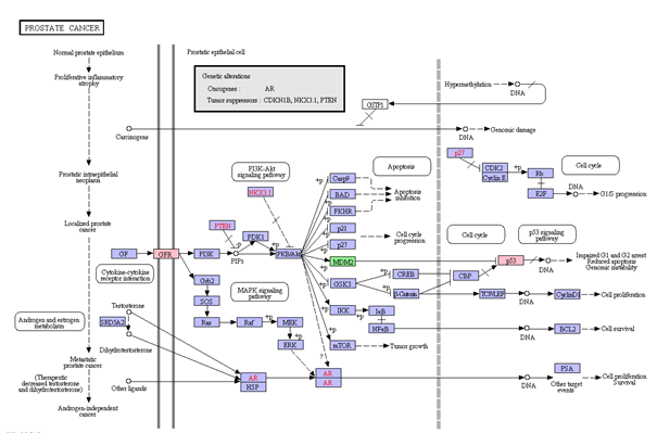 1632383980159733.png image.png