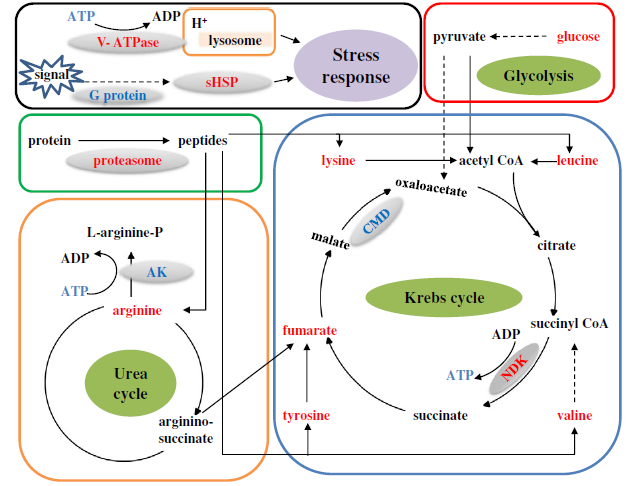 1632384044637128.png image.png