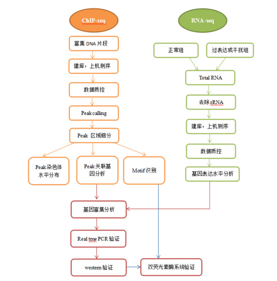 1632385095780467.png image.png