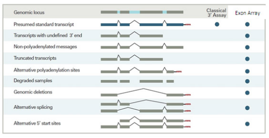 1632445591969032.png image.png