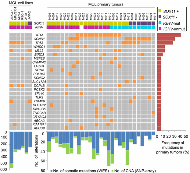 1632446302137684.png image.png