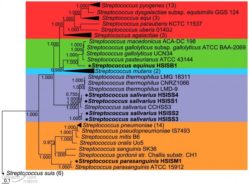 1632447932135627.png image.png