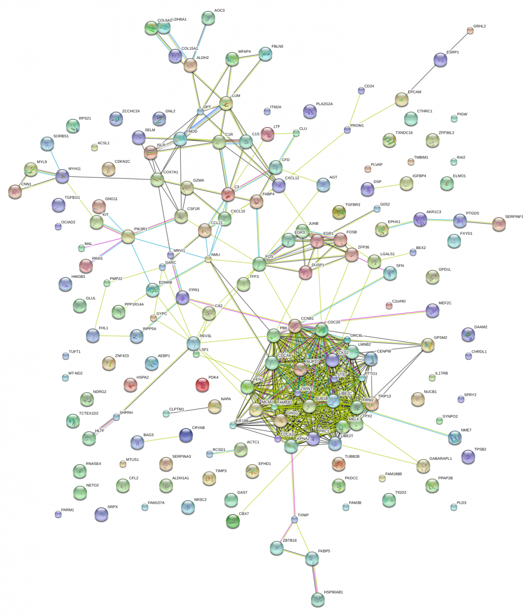 1632448447115622.png image.png