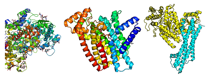 1632448465548655.png image.png