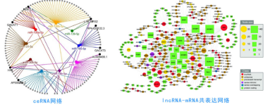 1632449393914339.png image.png