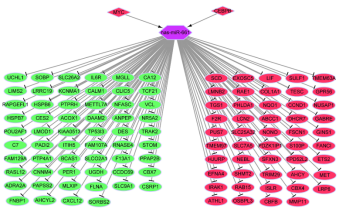 1632449408343393.png image.png